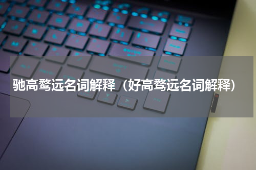 驰高鹜远名词解释（好高骛远名词解释）