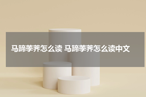 马蹄荸荠怎么读 马蹄荸荠怎么读中文