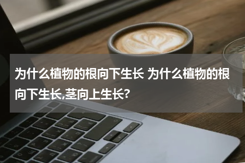 为什么植物的根向下生长 为什么植物的根向下生长,茎向上生长?