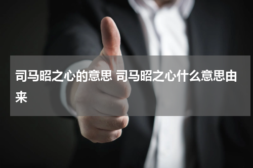 司马昭之心的意思 司马昭之心什么意思由来