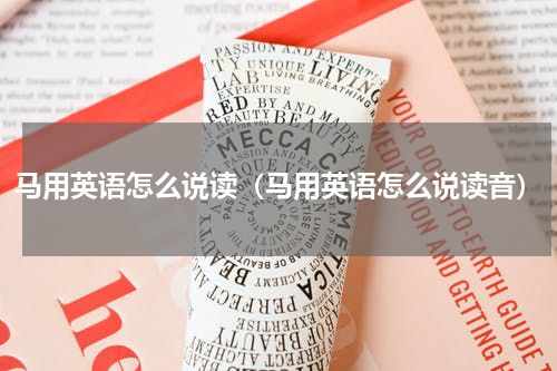 马用英语怎么说读（马用英语怎么说读音）