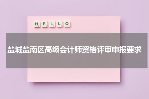 盐城盐南区高级会计师资格评审申报要求