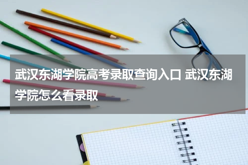武汉东湖学院高考录取查询入口 武汉东湖学院怎么看录取
