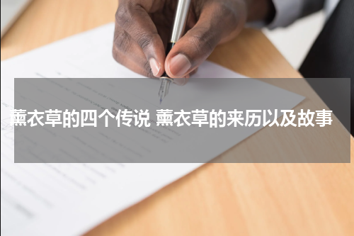 薰衣草的四个传说 薰衣草的来历以及故事