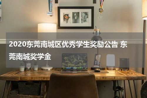 2020东莞南城区优秀学生奖励公告 东莞南城奖学金
