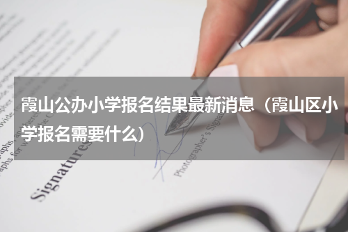 霞山公办小学报名结果最新消息（霞山区小学报名需要什么）