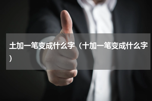 土加一笔变成什么字（十加一笔变成什么字）