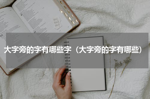 大字旁的字有哪些字（大字旁的字有哪些）