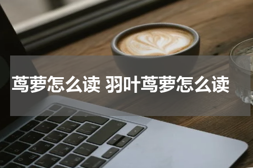 茑萝怎么读 羽叶茑萝怎么读