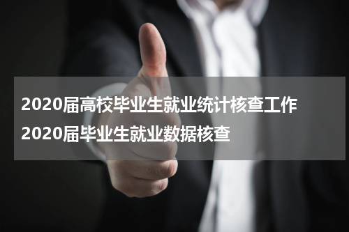2020届高校毕业生就业统计核查工作 2020届毕业生就业数据核查