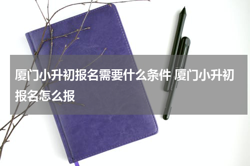 厦门小升初报名需要什么条件 厦门小升初报名怎么报
