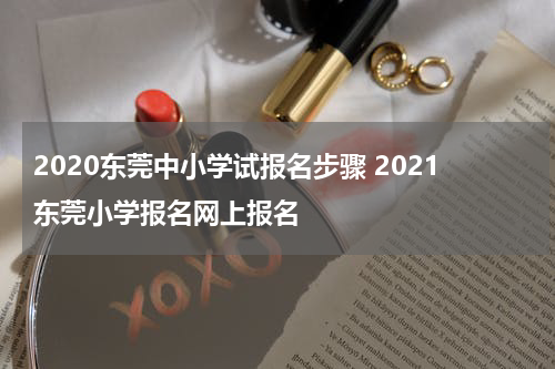 2020东莞中小学试报名步骤 2021东莞小学报名网上报名