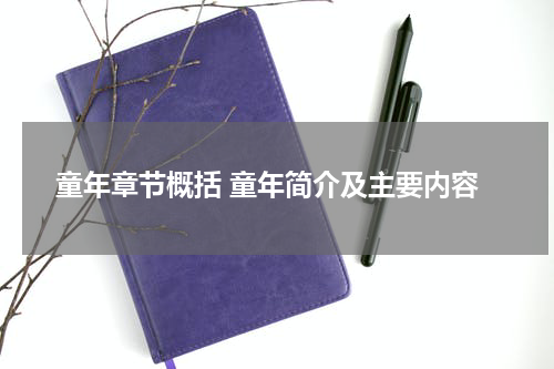 童年章节概括 童年简介及主要内容