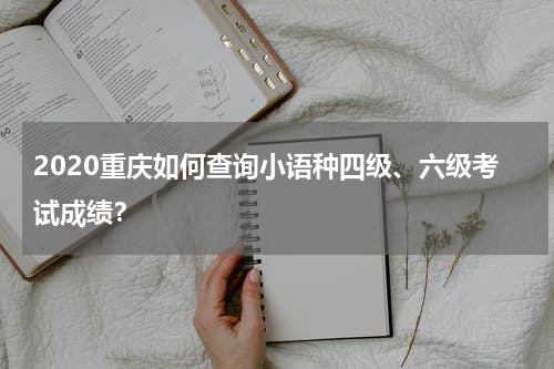 2020重庆如何查询小语种四级、六级考试成绩？