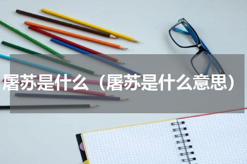 屠苏是什么（屠苏是什么意思）