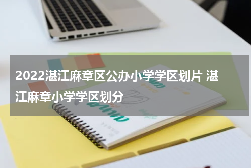 2022湛江麻章区公办小学学区划片 湛江麻章小学学区划分