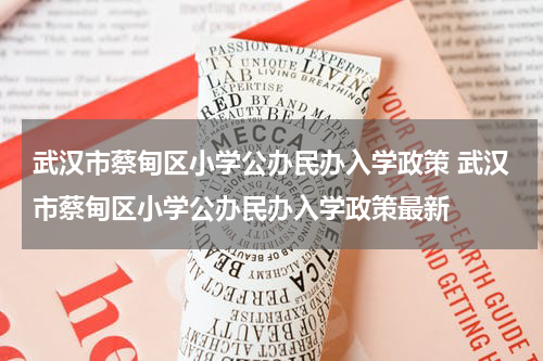武汉市蔡甸区小学公办民办入学政策 武汉市蔡甸区小学公办民办入学政策最新