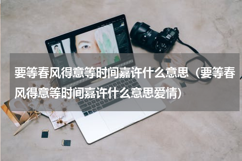 要等春风得意等时间嘉许什么意思（要等春风得意等时间嘉许什么意思爱情）
