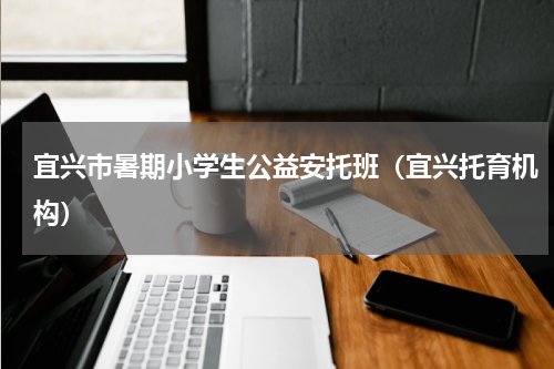 宜兴市暑期小学生公益安托班（宜兴托育机构）