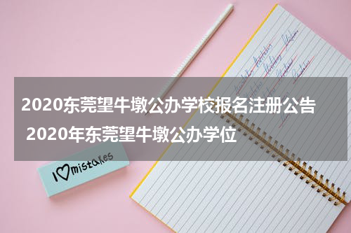 2020东莞望牛墩公办学校报名注册公告 2020年东莞望牛墩公办学位
