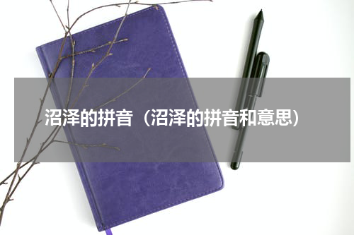沼泽的拼音（沼泽的拼音和意思）