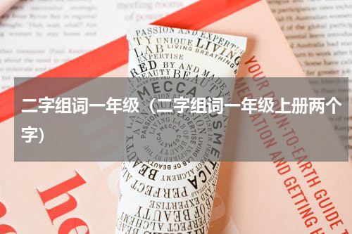 二字组词一年级（二字组词一年级上册两个字）
