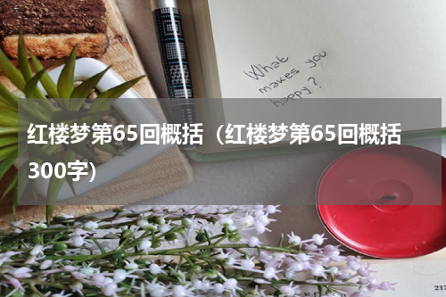 红楼梦第65回概括（红楼梦第65回概括300字）