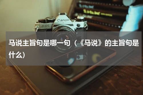 马说主旨句是哪一句（《马说》的主旨句是什么）
