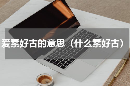 爱素好古的意思（什么素好古）