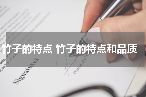 竹子的特点 竹子的特点和品质