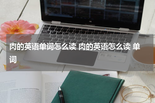 肉的英语单词怎么读 肉的英语怎么读 单词