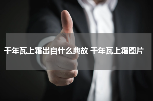 千年瓦上霜出自什么典故 千年瓦上霜图片