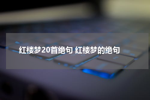 红楼梦20首绝句 红楼梦的绝句