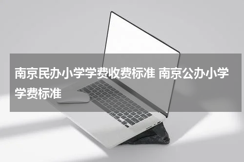 南京民办小学学费收费标准 南京公办小学学费标准