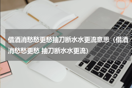 借酒消愁愁更愁抽刀断水水更流意思（借酒消愁愁更愁 抽刀断水水更流）