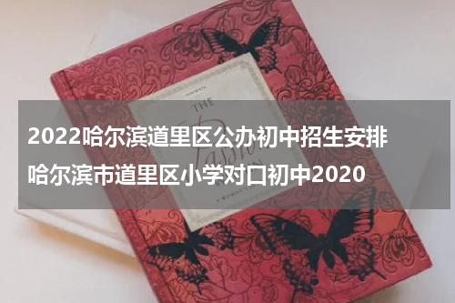 2022哈尔滨道里区公办初中招生安排 哈尔滨市道里区小学对口初中2020
