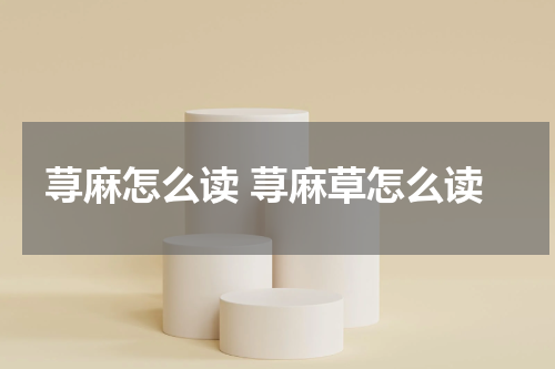 荨麻怎么读 荨麻草怎么读