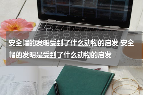 安全帽的发明受到了什么动物的启发 安全帽的发明是受到了什么动物的启发