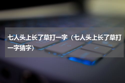 七人头上长了草打一字（七人头上长了草打一字猜字）