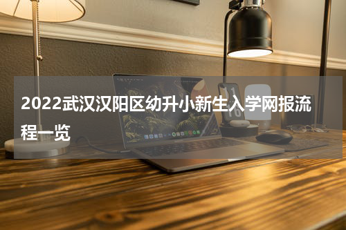 2022武汉汉阳区幼升小新生入学网报流程一览
