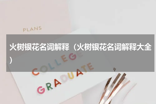 火树银花名词解释（火树银花名词解释大全）