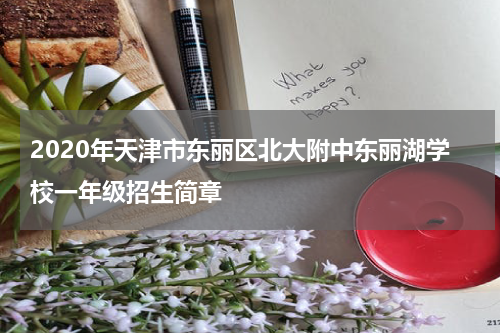2020年天津市东丽区北大附中东丽湖学校一年级招生简章