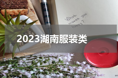 2023湖南服装类