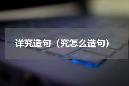 详究造句（究怎么造句）