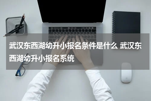 武汉东西湖幼升小报名条件是什么 武汉东西湖幼升小报名系统