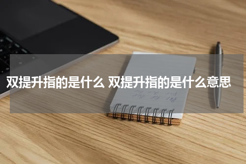双提升指的是什么 双提升指的是什么意思