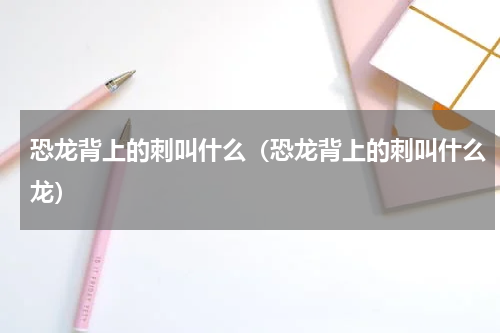 恐龙背上的刺叫什么（恐龙背上的刺叫什么龙）