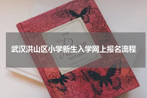 武汉洪山区小学新生入学网上报名流程