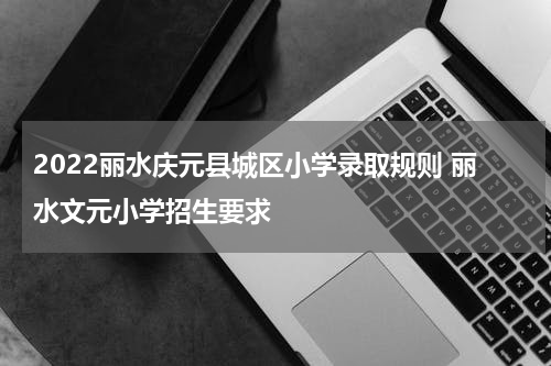 2022丽水庆元县城区小学录取规则 丽水文元小学招生要求