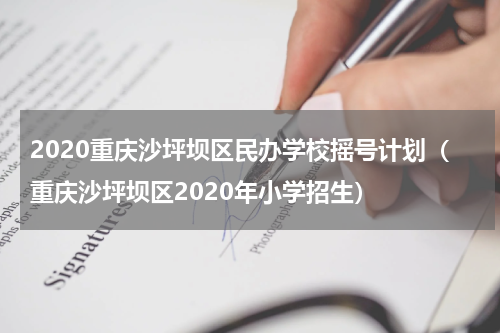 2020重庆沙坪坝区民办学校摇号计划（重庆沙坪坝区2020年小学招生）
